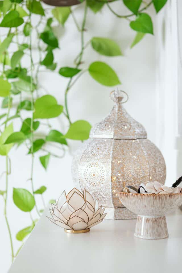 Heather Woods - Natural Therapies and Holostic Healing in Peregian Springs